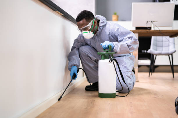 Real Estate Pest Inspections in Riverside, PA